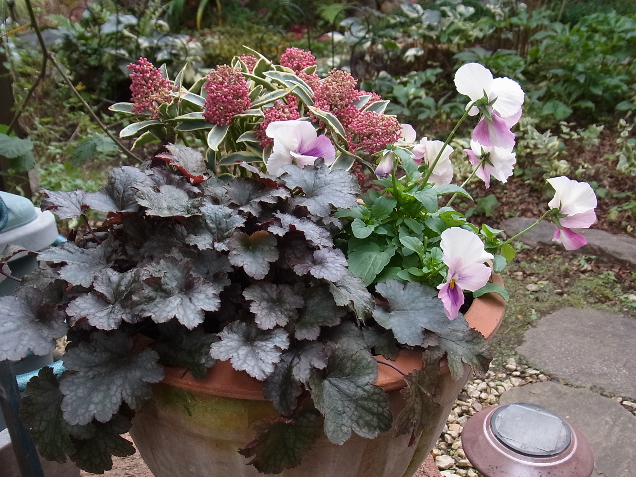 冬の寄せ植え 続: ３丁目の花壇